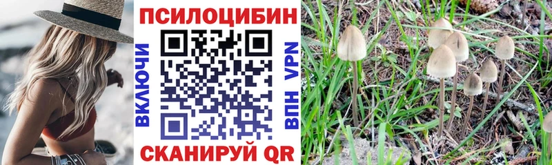 Псилоцибиновые грибы GOLDEN TEACHER маркетплейс состав Крымск