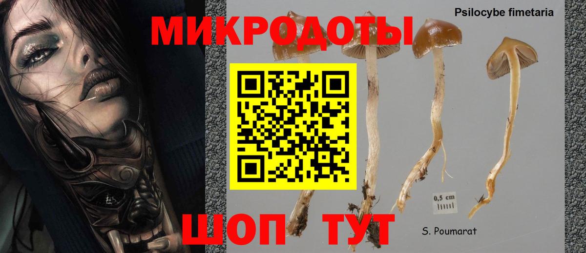 Крымск  Псилоцибиновые грибы GOLDEN TEACHER  Вход с VPN  Галлюциногенные грибы прущие грибы 